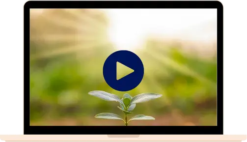programme en ligne sophrologie automne